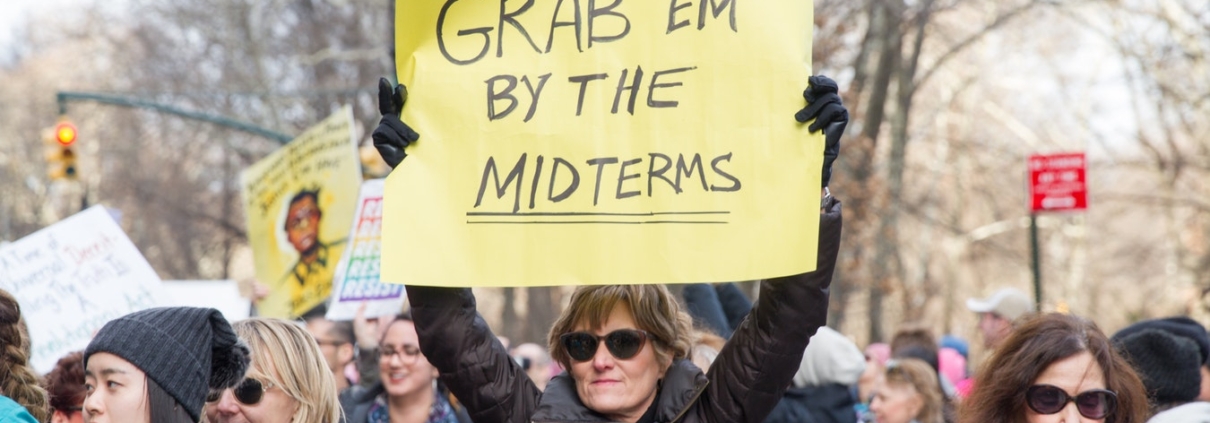 Grab Em By The Midterms