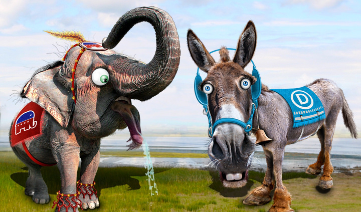 Where Will The Midterm Wave Break?