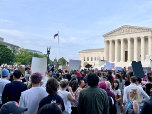 The Roe Dilemma A43903F4-F3FB-4957-BE72-05AAA7F6871E_1_201_a